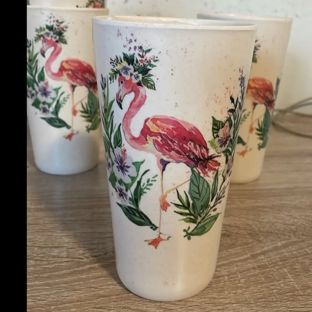 Aura Studios Set 4 16oz Plastic Cups
